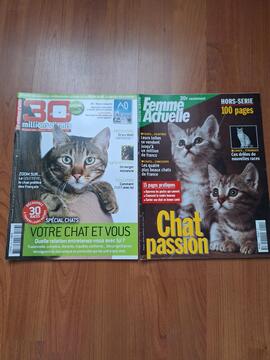 revues sur les chats