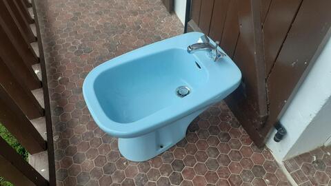 Bidet bleu ciel