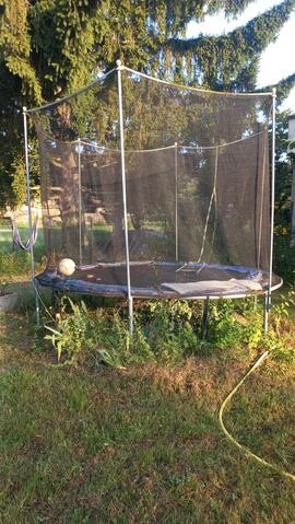 Trampoline