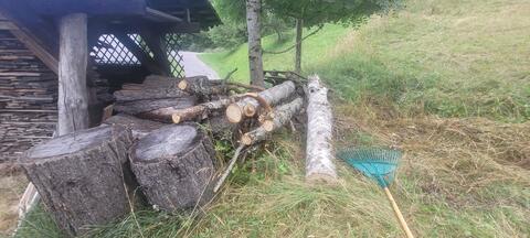 Bois à venir couper sur place