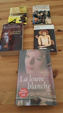 lot de 5 livres état neuf