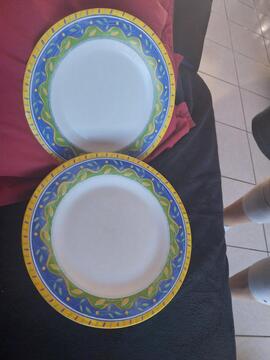 donne 10 assiettes plates