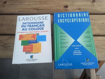 dictionnaire