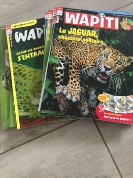 magazines wapiti