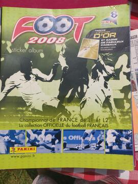 album panini foot 2008