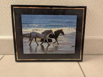 Tableau cadre photo chevaux