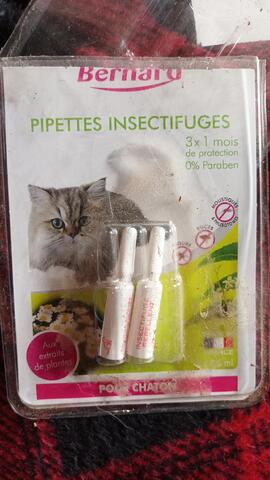 pipettes chaton