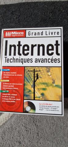 livre internet techniques avancées