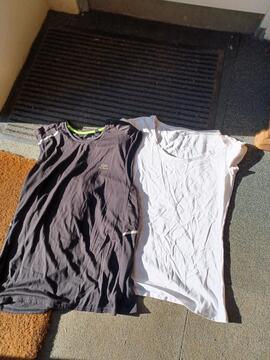 2 Tee-shirts taille 38/40