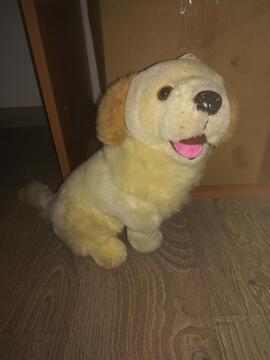 peluche chien