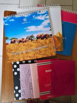 Lot de blocs et carnets