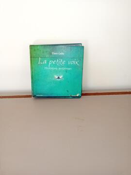 livre : la petite voix, méditations quotidiennes