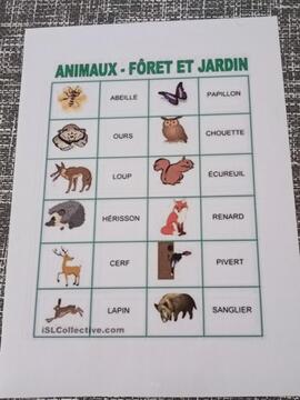 lot 4 fiches animaux