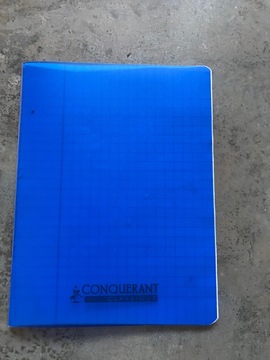 petit cahier grands carreaux