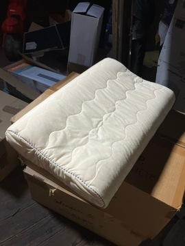 2 Coussins à mémoire de forme IKEA