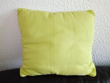 coussin vert anis