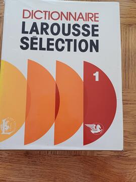 Dictionnaire 2 volumes Larousse