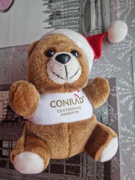 petite peluche ourson noel