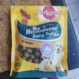 donne gourmandise chien