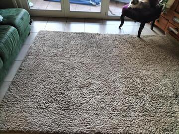 tapis beige