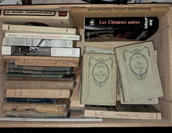 lot de livres