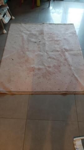 Tapis rose