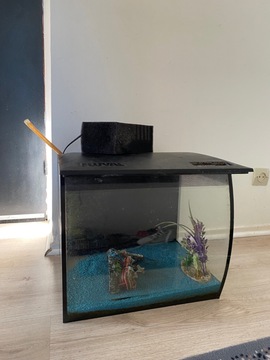 aquarium