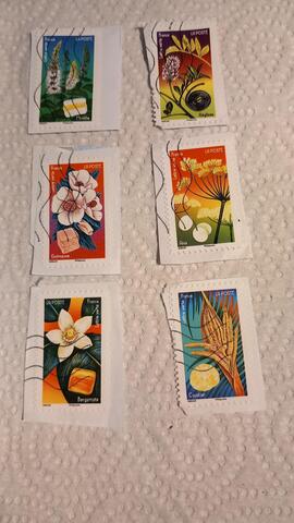 6 timbres FLEURS ET DOUCEURS