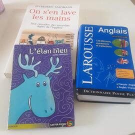 2 livres et un dico Anglais