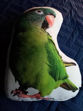 Lot de 2 coussins oiseaux