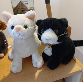 Petits chats en peluche