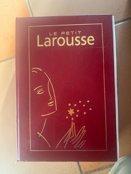 dictionnaire Larousse grand format