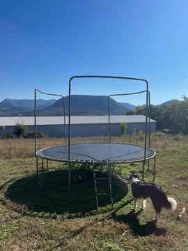 don trampoline