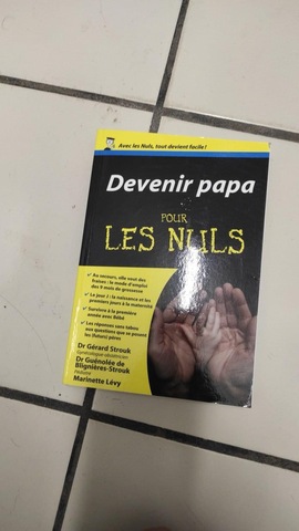 livre papa pour les nuls