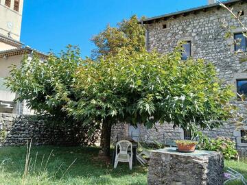 feuilles mûrier platanes pour ânes, moutons biquettes