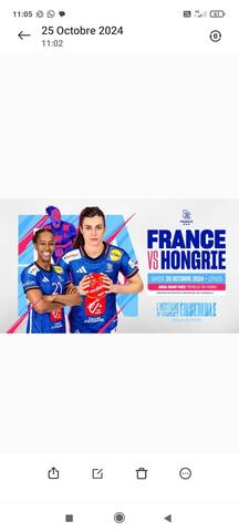 places handball France - Hongrie