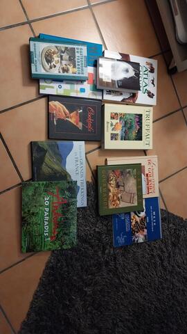 lot de livres divers loisirs