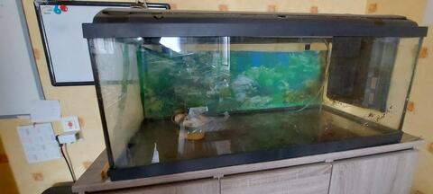 aquarium 100L. secteur pagny sur moselle