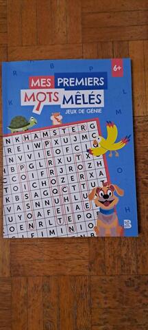 Livre de mots mêlés pour enfant