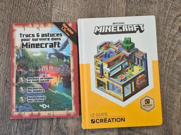 livres minecraft