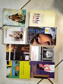 lot de livres