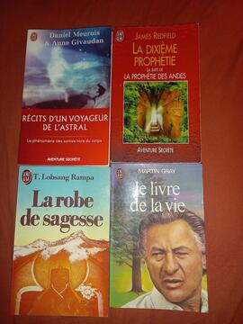 lot 4 livres aventure secrète/ développement personnel