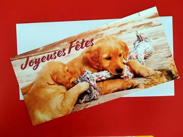 Carte simple Joyeuses Fêtes "Chiots Goldens" + enveloppe blanche