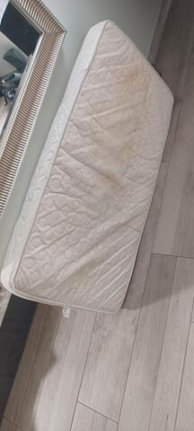 matelas bb pr chien