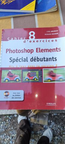 livre informatique