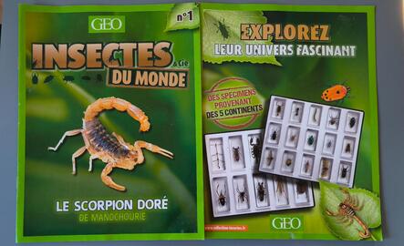 Magazines Geo insectes