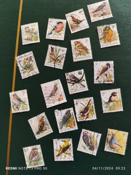 20 timbres oiseaux..Belgique..