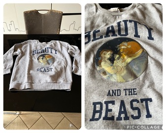 Sweat «La Belle et la bête» ( Disney by MNG )