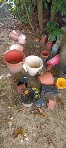 Lot de plusieurs pots pour plantes