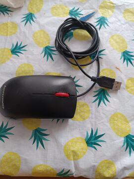 souris filaire lenovo